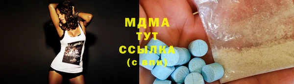 индика Медвежьегорск