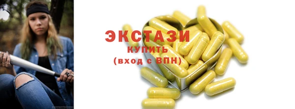 индика Медвежьегорск