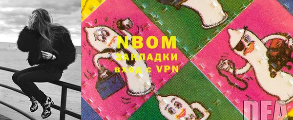индика Медвежьегорск