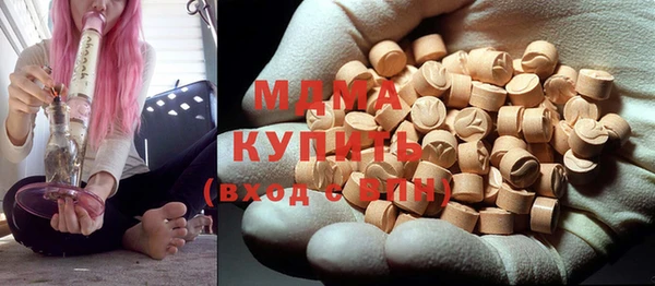 индика Медвежьегорск
