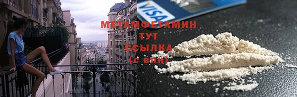 индика Медвежьегорск