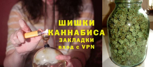 индика Медвежьегорск