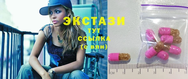 индика Медвежьегорск