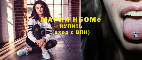 индика Медвежьегорск