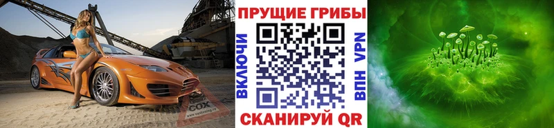 Псилоцибиновые грибы мухоморы Партизанск